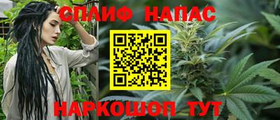 прущие крисы Моздок
