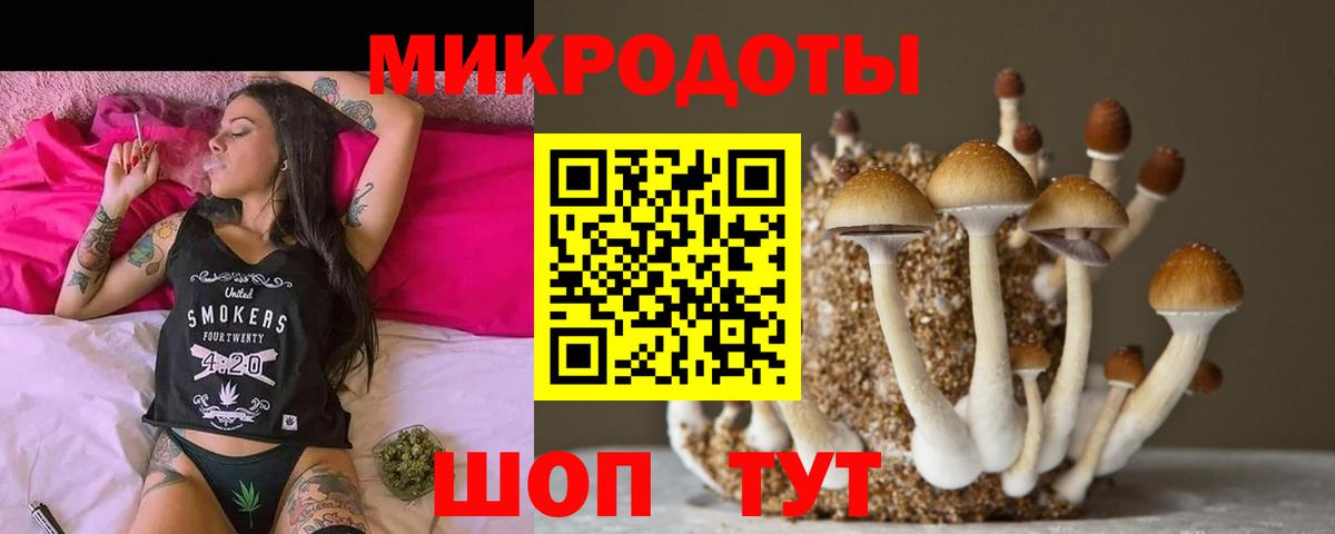 Галлюциногенные грибы Psilocybine cubensis Воронеж